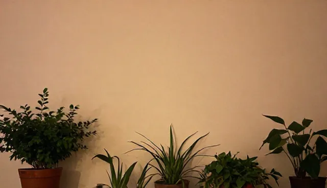 运维服务在技术实施中的适用条件与选择依据